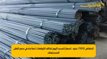 انخفاض 1500 جنيه.. أسعار الحديد اليوم تخالف التوقعات | مفاجأة في سعر الطن للمستهلك